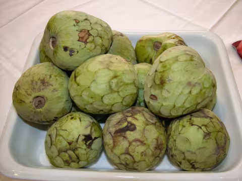 Cherimoya cross section