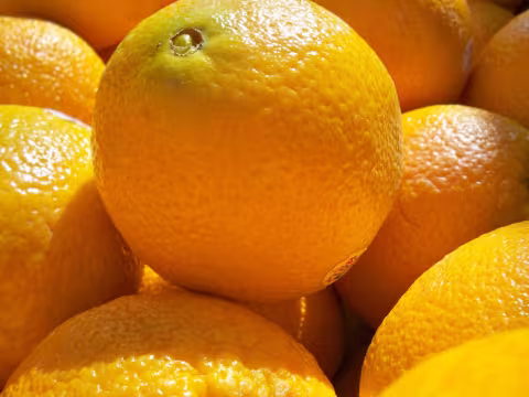 Oranges at market — lot overview