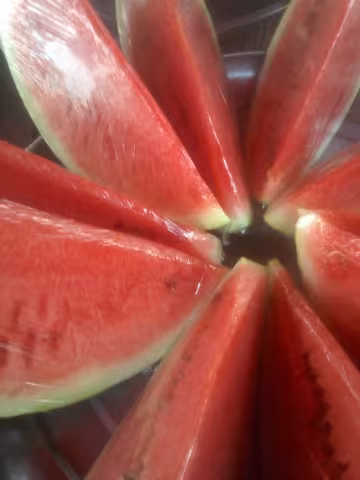 Ripe watermelon — exterior