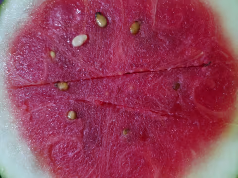 Watermelon — sliced cross section